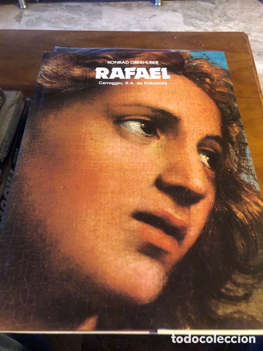 Paper Collecting Others: Libro Rafael. Konrad Oberhuber. Carroggio