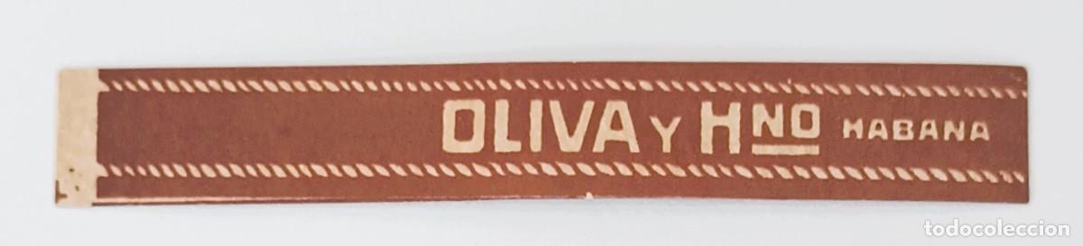 Collectionnisme Papier divers: Chinchal, Cigar Band, Antigua Vitola de Coleccion, OLIVA Y HNO., A661