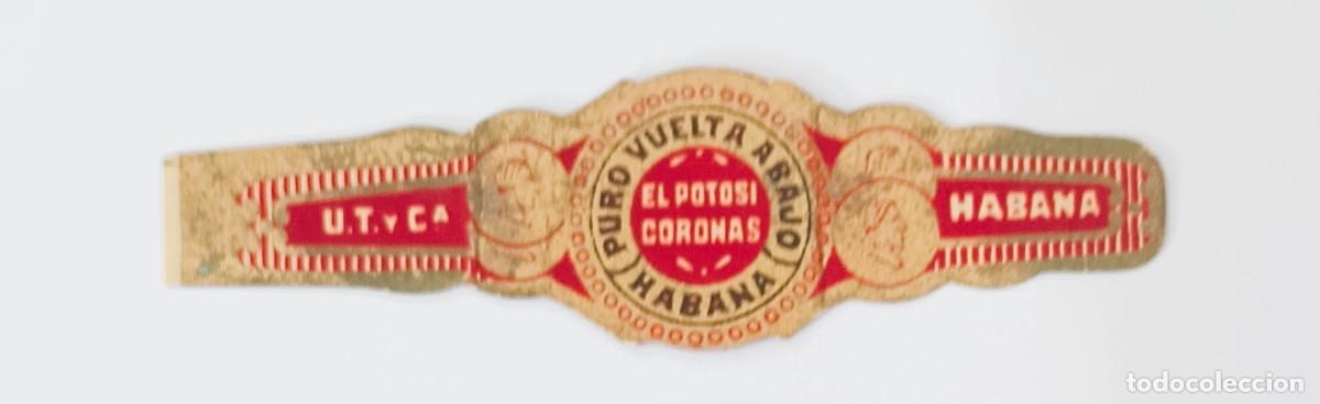 Otros Art&iacute;culos de Coleccionismo en Papel: Chinchal, Cigar Band, Antigua Vitola de Coleccion, EL POTOSI - CORONAS, A664