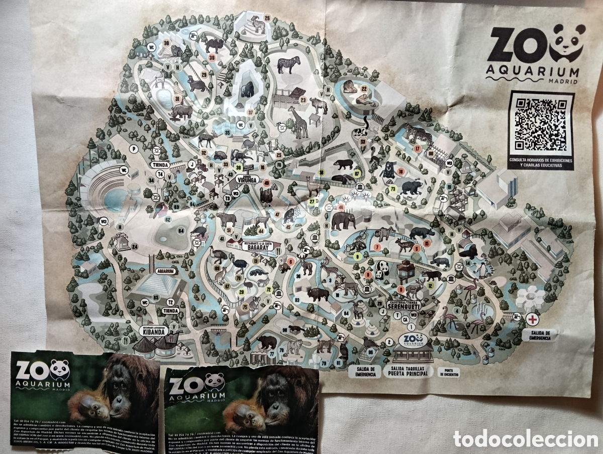 Otros Art&iacute;culos de Coleccionismo en Papel: Zoo de Madrid. Plano y entradas.