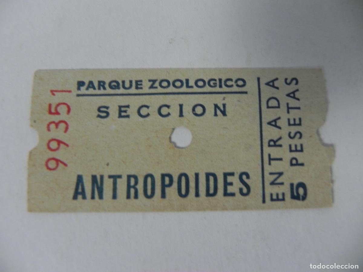 Otros Art&iacute;culos de Coleccionismo en Papel: Antigua Entrada Zoo Barcelona - Secci&oacute;n Antropoides - A&ntilde;os 70 - Muy Buen Estado