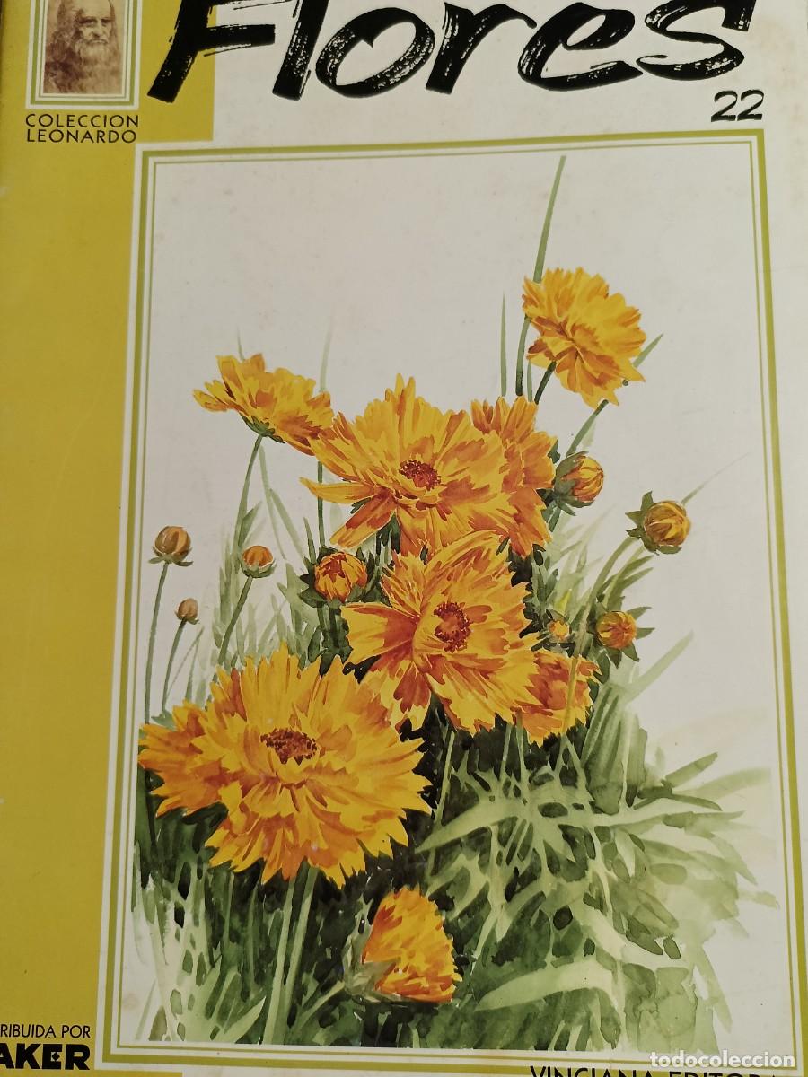 Otros Art&iacute;culos de Coleccionismo en Papel: Pintemos las flores N&deg; 22 Colecci&oacute;n Leonardo