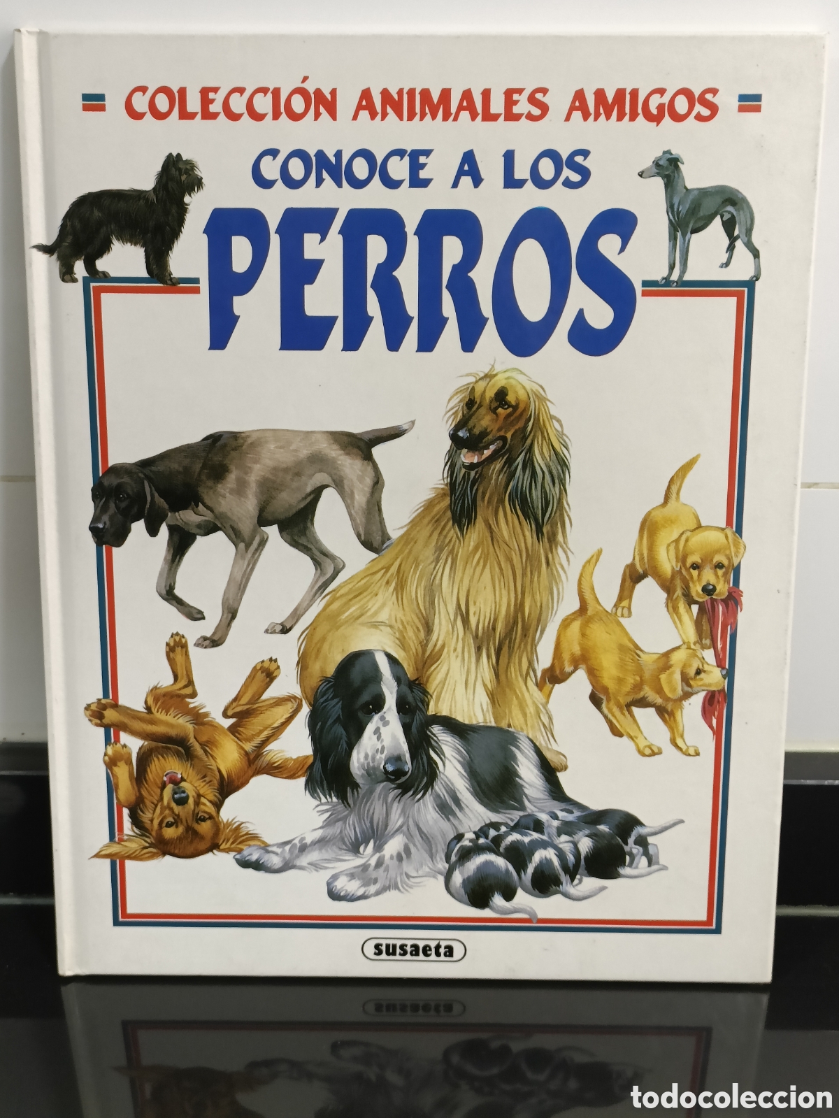 Otros Art&iacute;culos de Coleccionismo en Papel: Libro infantil Conoce a los perros Ediciones Susaeta