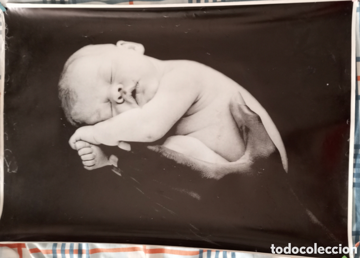 Otros Art&iacute;culos de Coleccionismo en Papel: Poster de una fotograf&iacute;a de Anne Geddes.69x49 cms