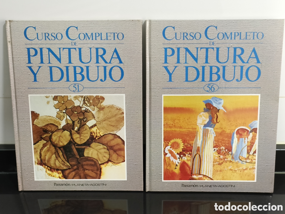 Otros Art&iacute;culos de Coleccionismo en Papel: 2 Tomos 51 y 56 Curso pintura y dibujo Planeta Agostini