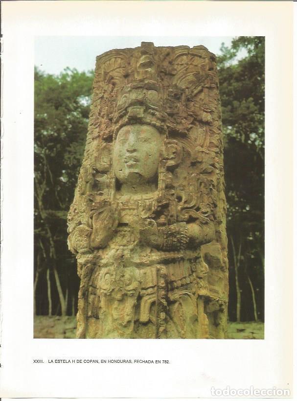 Sammelleidenschaft Andere Papierartikel: LAMINA 27358: Estela H de Copan, Honduras - Guy Annequin