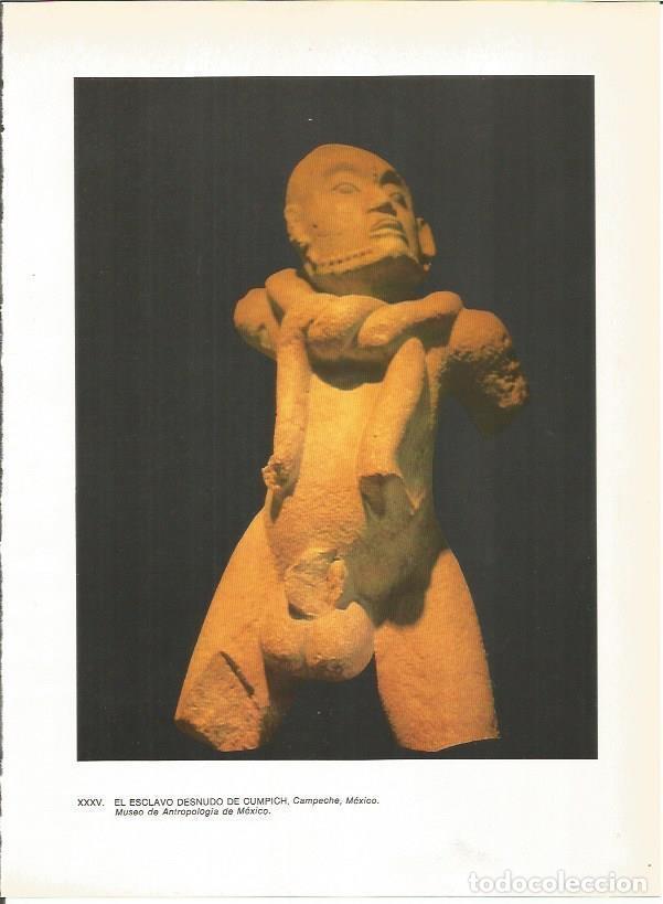 Sammelleidenschaft Andere Papierartikel: LAMINA 27370: Esclavo desnudo de Cumpich, Mexico - Guy Annequin