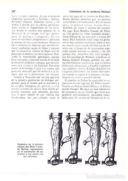 Otros art&iacute;culos de coleccionismo en papel: LAMINA 28156: Grabados del Motu Cordis de Harvey - Josep Pijoan
