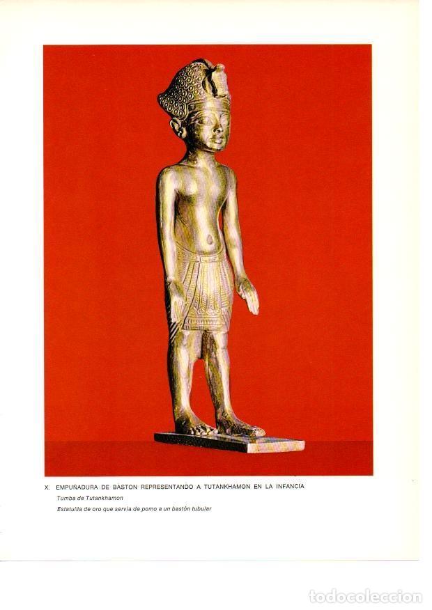 Otros Art&iacute;culos de Coleccionismo en Papel: LAMINA 27912: Empu&ntilde;adura de baston de la tumba de Tutankhamon - Raymonde de Gans