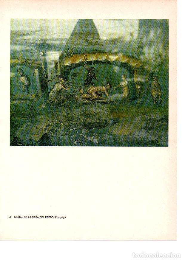 Otros art&iacute;culos de coleccionismo en papel: LAMINA 27840: Mural de la Casa del Efebo. Pompeya - Raymonde de Gans