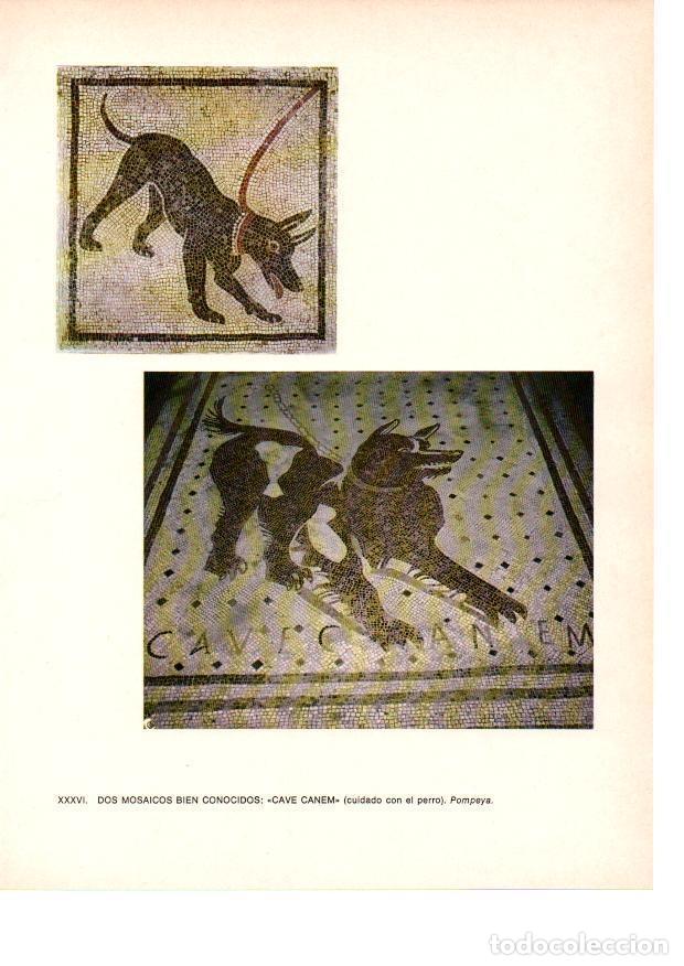 Otros art&iacute;culos de coleccionismo en papel: LAMINA 27825: Mosaicos Cave Canem. Pompeya - Raymonde de Gans