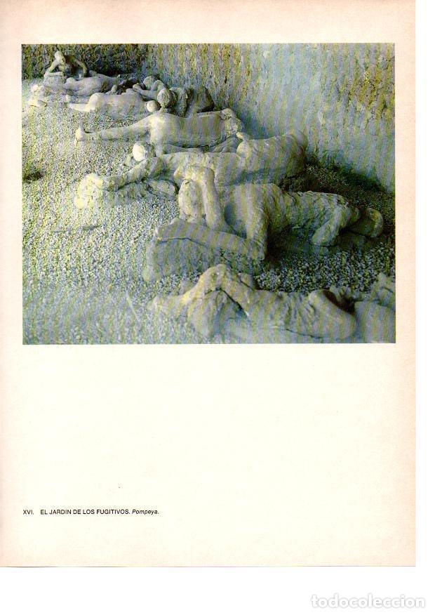 Otros art&iacute;culos de coleccionismo en papel: LAMINA 27805: Pompeya. El jardin de los fugitivos - Raymonde de Gans