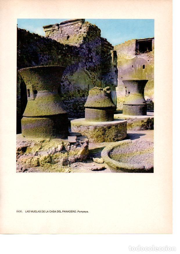 Otros art&iacute;culos de coleccionismo en papel: LAMINA 27820: Muelas de la Casa del Panadero, Pompeya - Raymonde de Gans