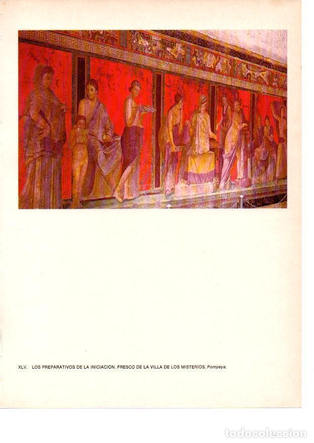 Otros art&iacute;culos de coleccionismo en papel: LAMINA 27834: Fresco de la Villa de los Misterios de Pompeya - Raymonde de Gans