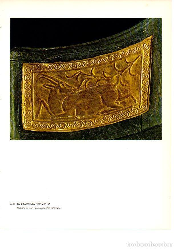 Otros art&iacute;culos de coleccionismo en papel: LAMINA 27915: Detalle del sillon del Principito. Egipto - Raymonde de Gans