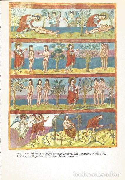 Otros art&iacute;culos de coleccionismo en papel: LAMINA V02548: Escenas del Genesis. Biblia Moutier-Grandval. Tours. - John Beckwith