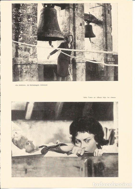 Otros art&iacute;culos de coleccionismo en papel: LAMINA V03017: Sofia Loren en deseo bajo los olmos - Varios