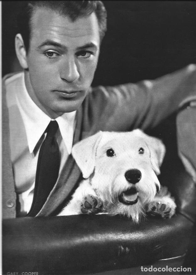 Otros art&iacute;culos de coleccionismo en papel: LAMINA 29930: Gary Cooper - VVAA