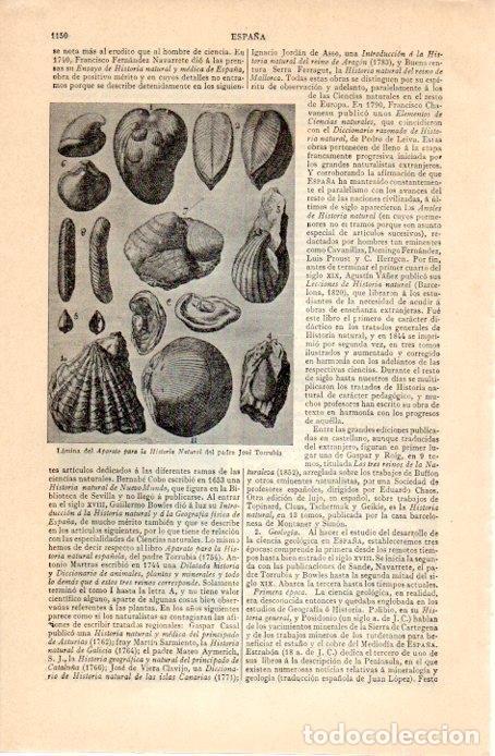 Otros art&iacute;culos de coleccionismo en papel: LAMINA V07358: Aparato para la Historia Natural por Jose Torrubia - Varios