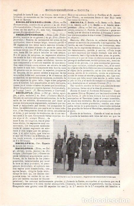 Otros art&iacute;culos de coleccionismo en papel: LAMINA V08089: Regimiento de infanteria de Covadonga - Varios