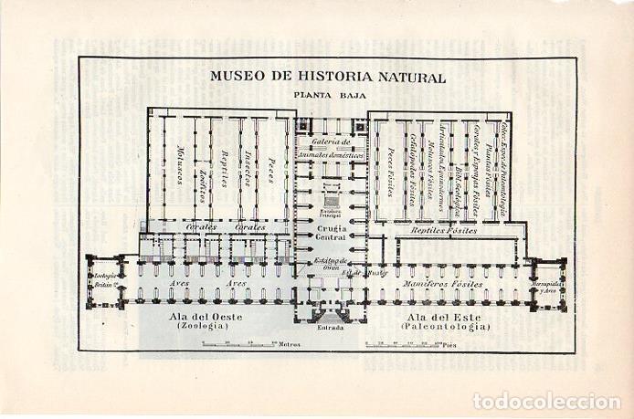 Otros art&iacute;culos de coleccionismo en papel: LAMINA V08707: Plano del Museo de Historia Natural de Londres - Varios
