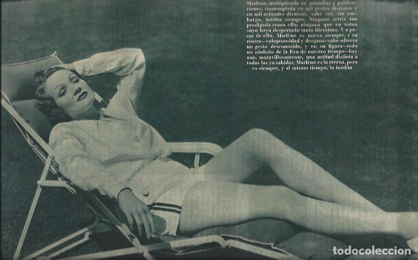 Otros art&iacute;culos de coleccionismo en papel: LAMINA 30681: Marlene Dietrich en un jardin - VVAA