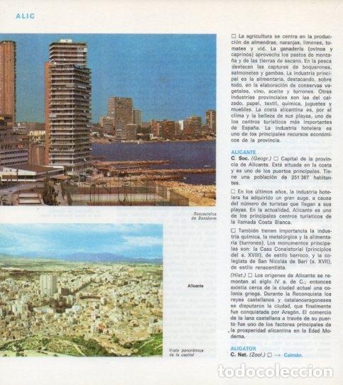 Otros art&iacute;culos de coleccionismo en papel: LAMINA V14108: Vista de Alicante y Rascacielos en Benidorm - Varios