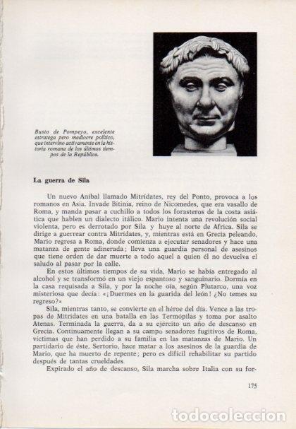 Otros art&iacute;culos de coleccionismo en papel: LAMINA V15408: Busto de Pompeyo - Varios