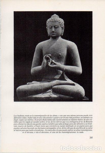 Otros art&iacute;culos de coleccionismo en papel: LAMINA V15455: Buda - Varios