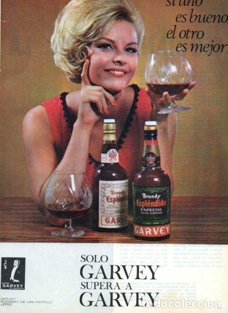 Sammelleidenschaft Andere Papierartikel: LAMINA V17247: Publicidad Brandy Esplendido de Garvey - VVAA