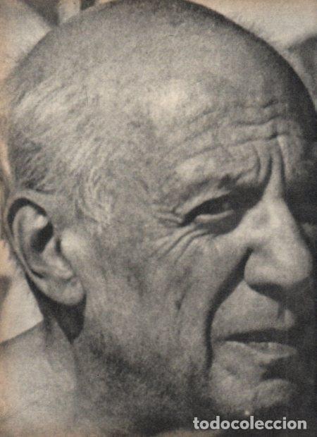 Otros art&iacute;culos de coleccionismo en papel: LAMINA V21443: Picasso primer plano - Varios