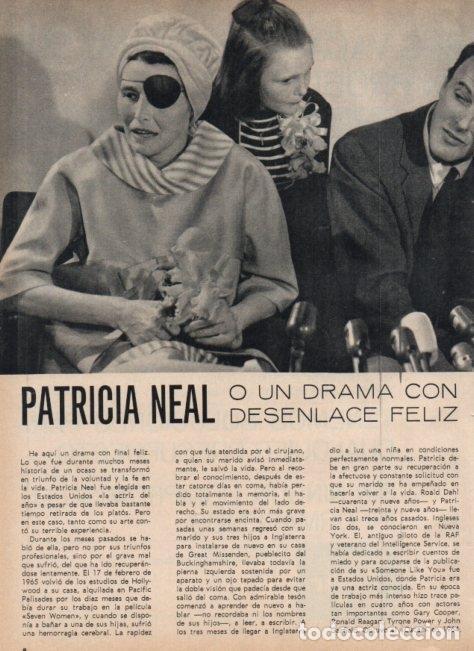 Altri oggetti di carta: LAMINA V16940: Patricia Neal - VVAA
