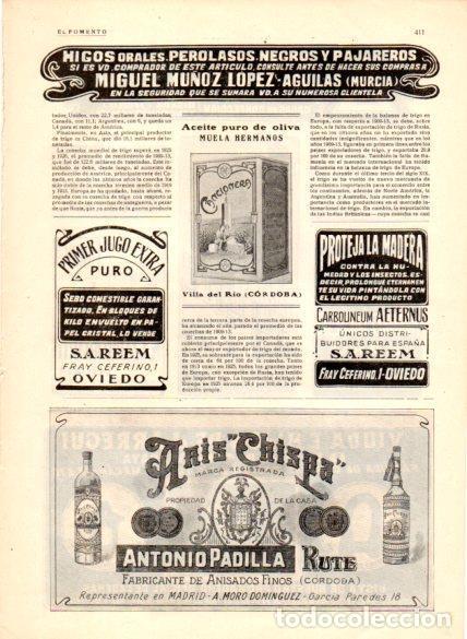 Sammelleidenschaft Andere Papierartikel: LAMINA V22680: Publicidad Anis Chispa de Antonio Padilla - Varios