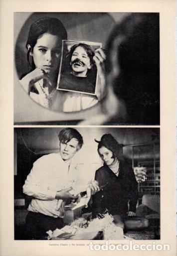 Otros art&iacute;culos de coleccionismo en papel: LAMINA V23057: Geraldine Chaplin y Per Scarson en La madriguera - Varios