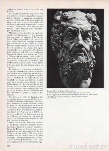 Otros art&iacute;culos de coleccionismo en papel: LAMINA V18683: Busto de Homero - Varios