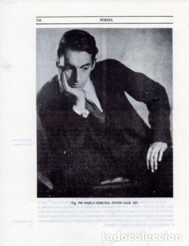 Otros art&iacute;culos de coleccionismo en papel: LAMINA V25582: Pablo Neruda joven - Leopoldo Castedo