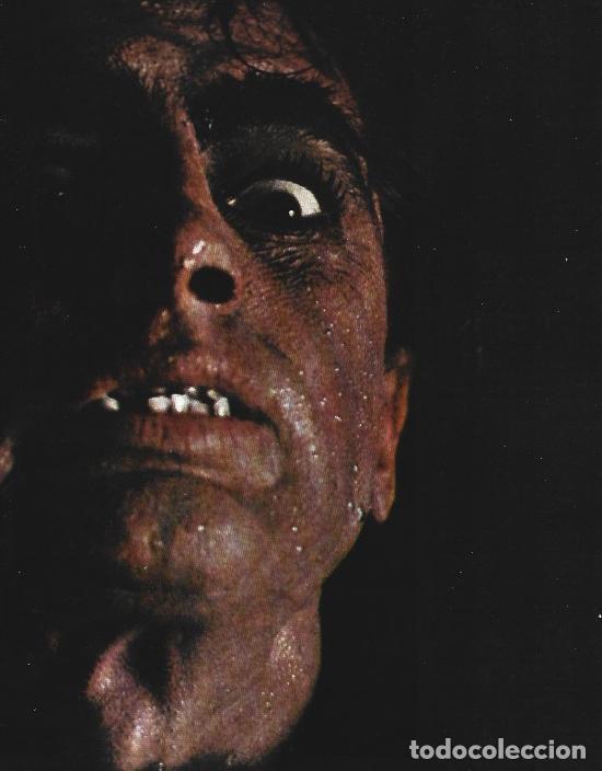 Outros artigos de papel: LAMINA 33999: Rock Hudson como Mr Hyde - VVAA