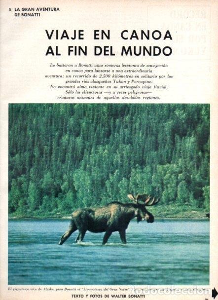 Otros art&iacute;culos de coleccionismo en papel: LAMINA V22032: Alce de Alaska - Varios
