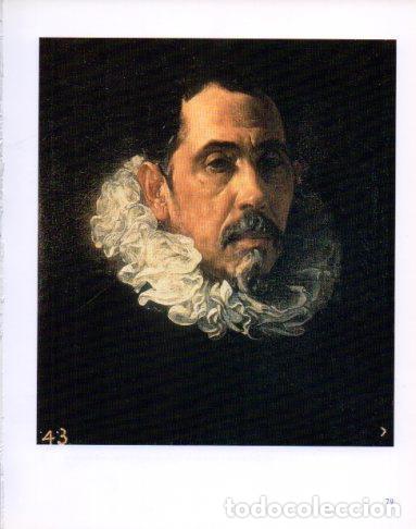 Otros art&iacute;culos de coleccionismo en papel: LAMINA V23192: Velazquez. Retrato de hombre - Varios