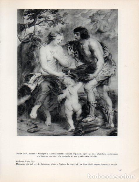 Otros art&iacute;culos de coleccionismo en papel: LAMINA V33047: Meleagro y Atalanta por Rubens - Hermann Bauer