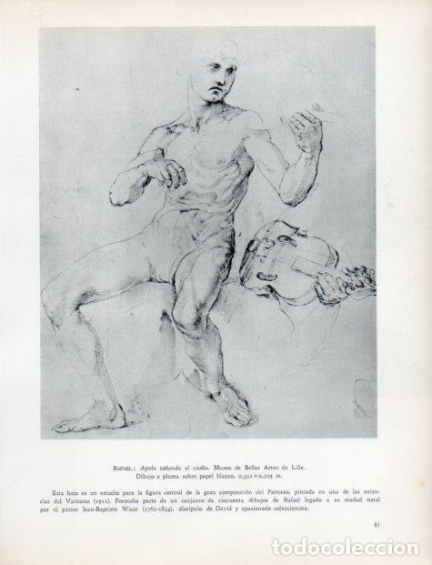 Otros art&iacute;culos de coleccionismo en papel: LAMINA V32945: Apolo ta&ntilde;endo el violin por Rafael - Jean Pierre Babelon