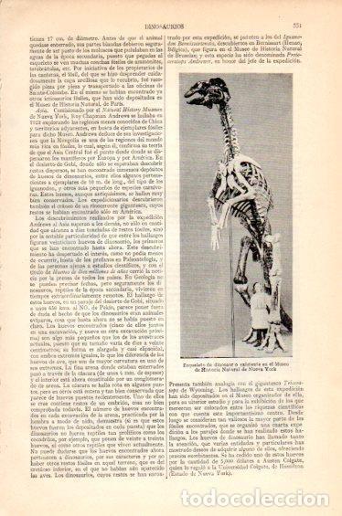 Otros art&iacute;culos de coleccionismo en papel: LAMINA V27424: Esqueleto de dinosaurio, Museo de Historia Natural de Nueva York - Varios