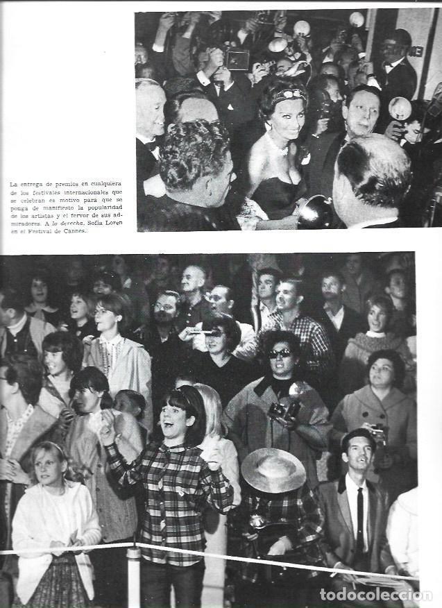 Otros art&iacute;culos de coleccionismo en papel: LAMINA 34073: Sofia Loren en el Festival de Cannes - VVAA
