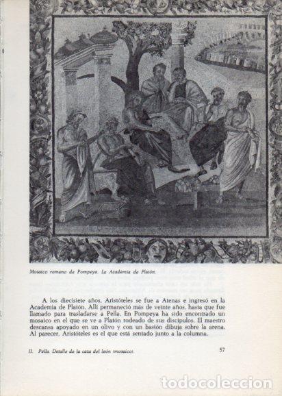 Otros art&iacute;culos de coleccionismo en papel: LAMINA V28208: La Academia de Platon, mosaico de Pompeya - Peter Bamm