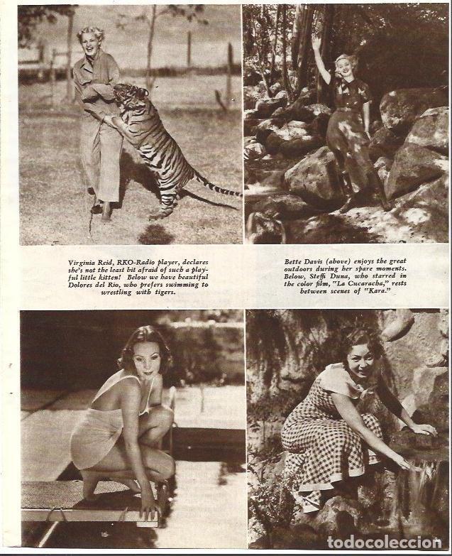 Otros art&iacute;culos de coleccionismo en papel: LAMINA 34402: Virginia Reid y Bette Davis - VVAA