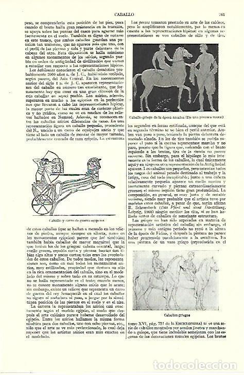 Otros art&iacute;culos de coleccionismo en papel: LAMINA ESPASA 39575: Caballo en el arte egipcio y griego - Varios