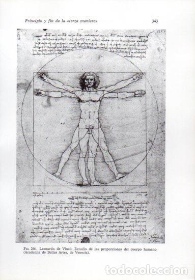 Otros art&iacute;culos de coleccionismo en papel: LAMINA V41277: Estudio de las proporciones del cuerpo humano por da Vinci - Leonardo Benevolo