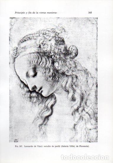 Otros art&iacute;culos de coleccionismo en papel: LAMINA V41278: Estudio de perfil por da Vinci - Leonardo Benevolo