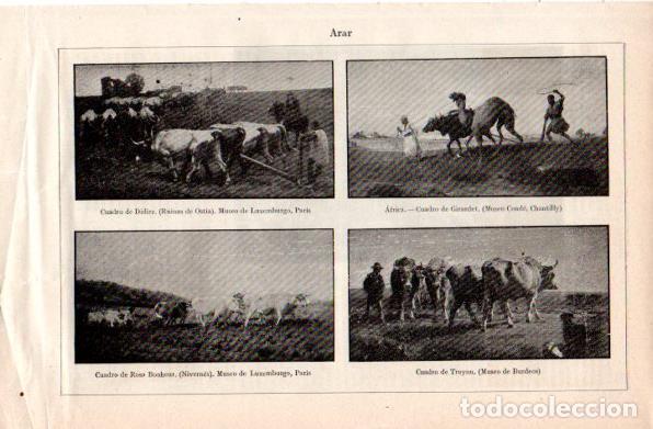 Paper Collecting Others: LAMINA V30910: Arar por Didier, Girardet, Rosa Bonheur y Troyon - Varios