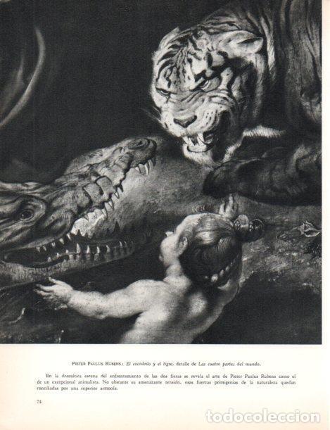 Otros art&iacute;culos de coleccionismo en papel: LAMINA V30440: El cocodrilo y el tigre detalle de Las cuatro partes del mundo por Rubens - Varios